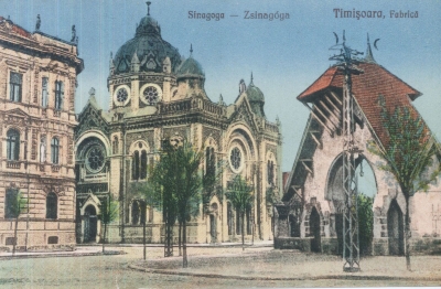 Sinagoga Fabric - ilustrata